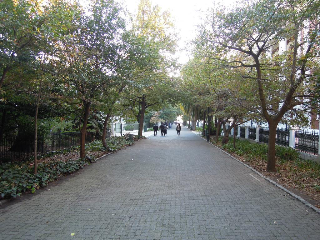 Cape Town City Luxury Apartments Buitenkant foto